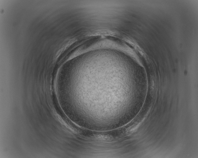 X0000068770585200605011029