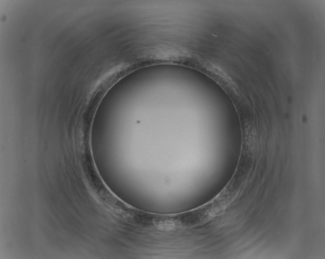 X0000068770587200605011029