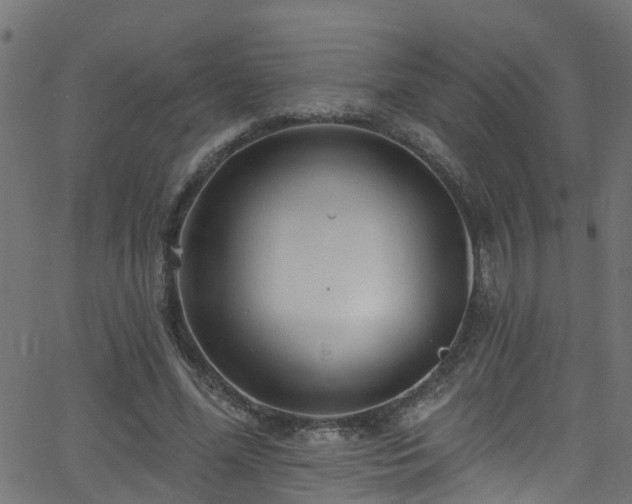 X0000068770588200605011029