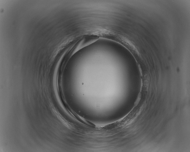 X0000068770589200605011029