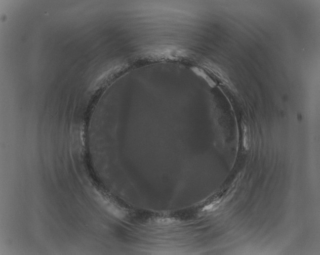 X0000068770590200605011029