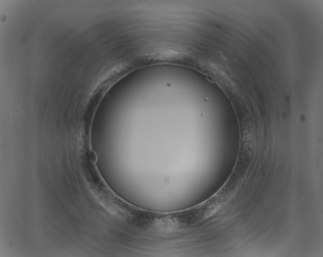 X0000068770591200605011029