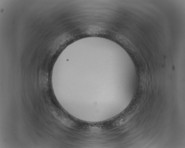 X0000068770592200605011029