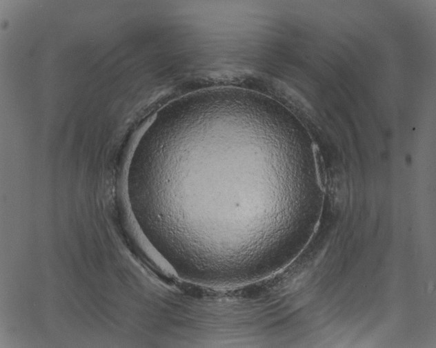 X0000068770593200605011029