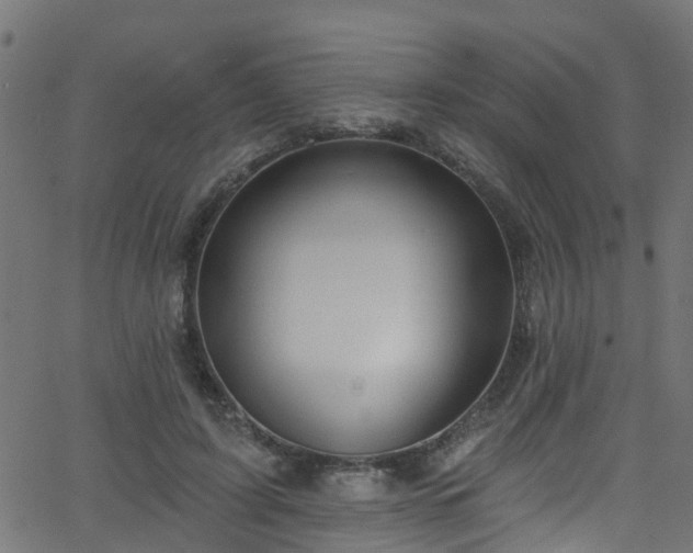 X0000068770595200605011029