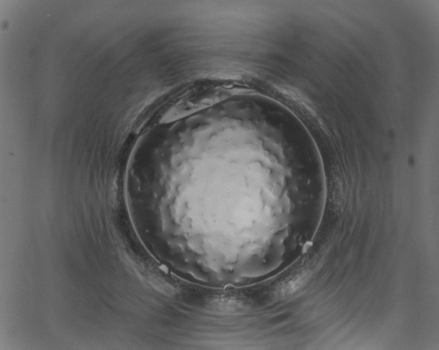 X0000068770596200605011029