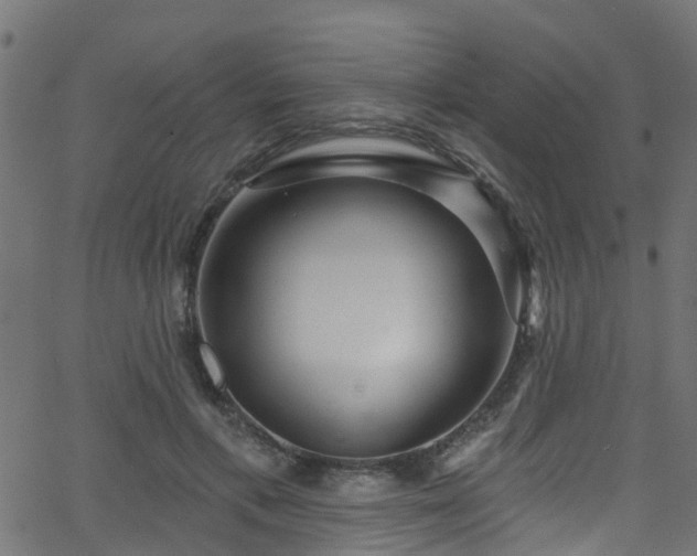 X0000068770597200605011029