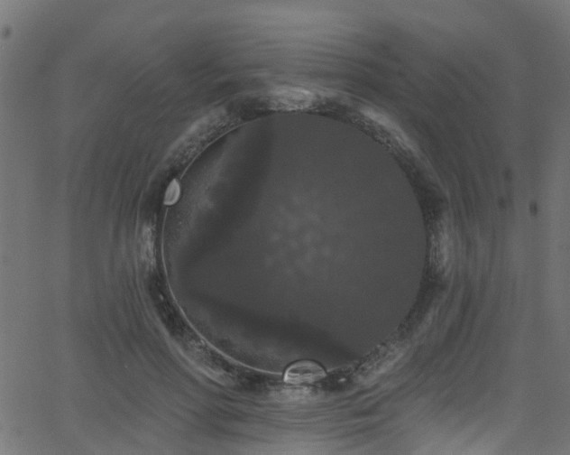 X0000068770598200605011029