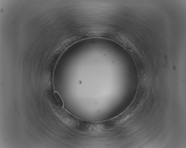 X0000068770599200605011029