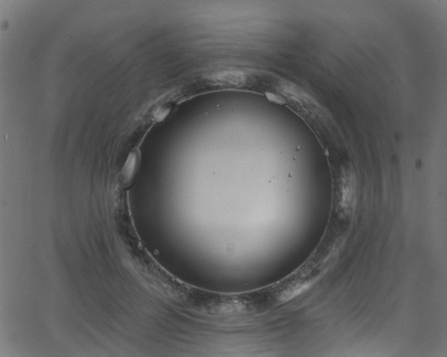 X0000068770600200605011029