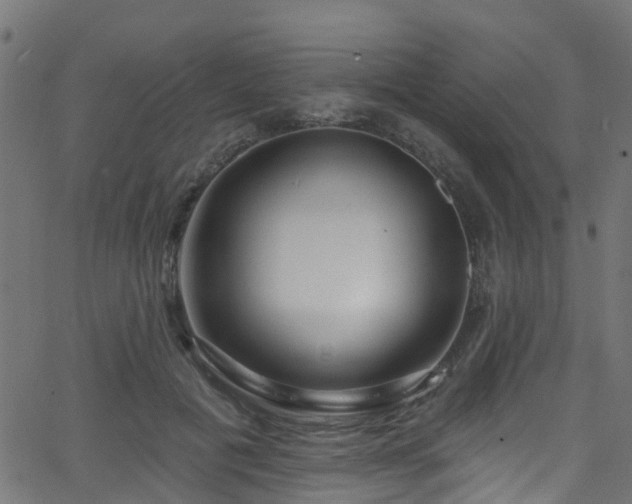 X0000068770601200605011029