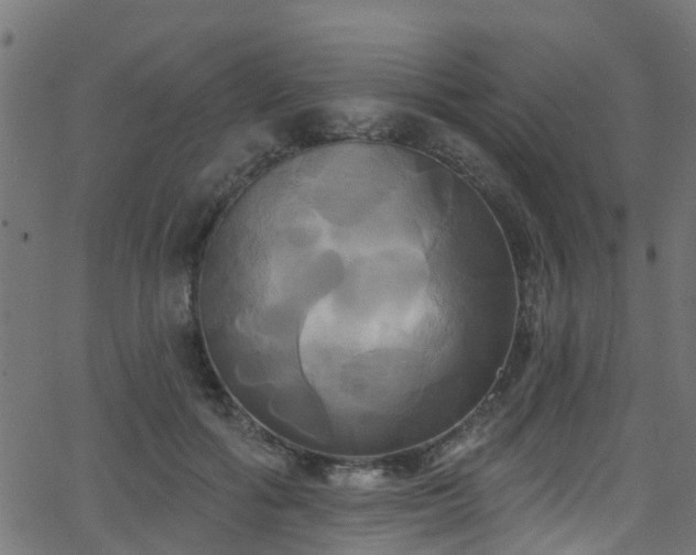 X0000068770602200605011029