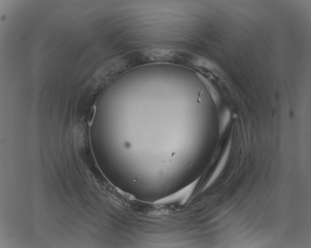 X0000068770604200605011029