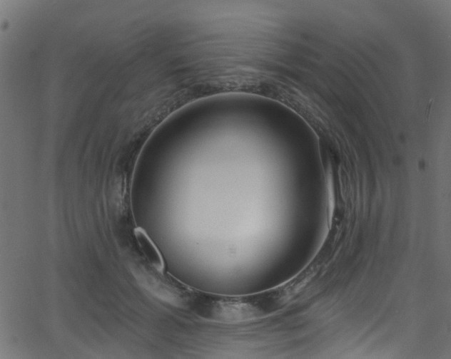 X0000068770605200605011029