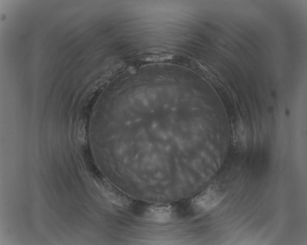 X0000068770606200605011029