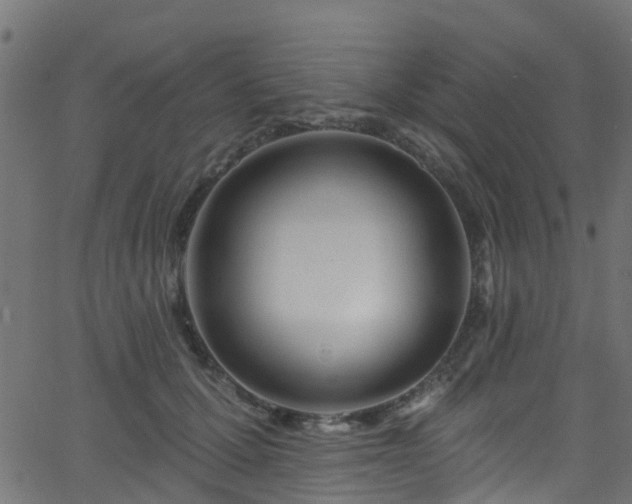 X0000068770607200605011029