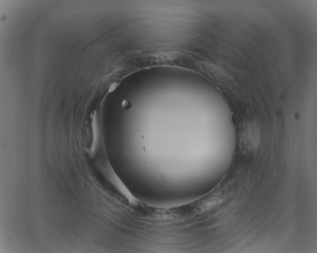 X0000068770608200605011029