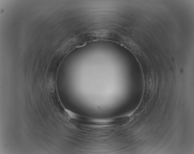 X0000068770609200605011029