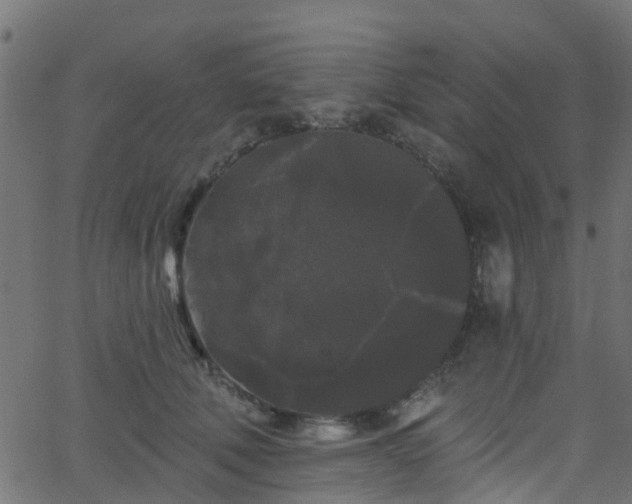 X0000068770610200605011029