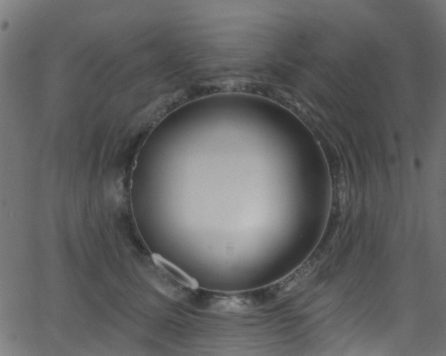 X0000068770611200605011029