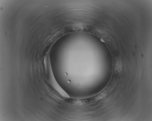 X0000068770616200605011029