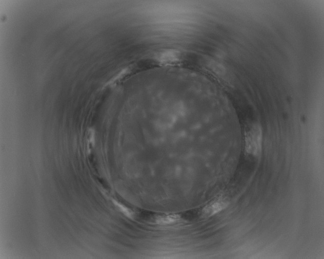 X0000068770618200605011029