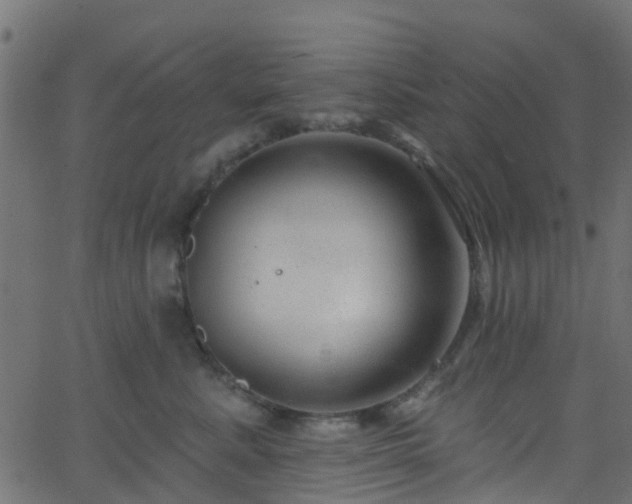 X0000068770619200605011028