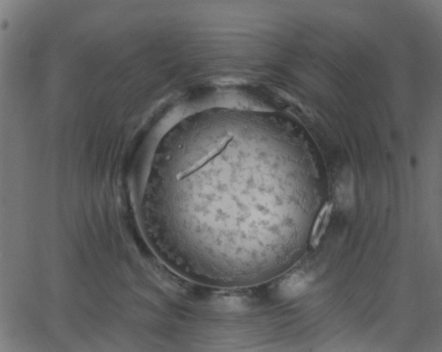 X0000068770620200605011028