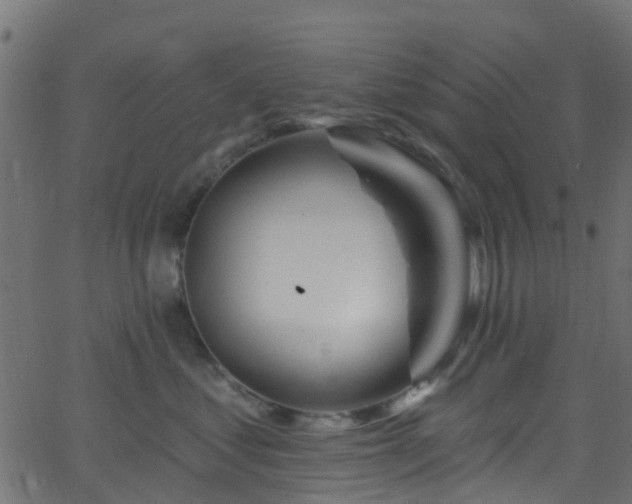 X0000068770621200605011028