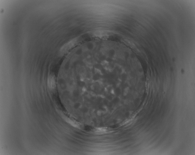 X0000068770623200605011028