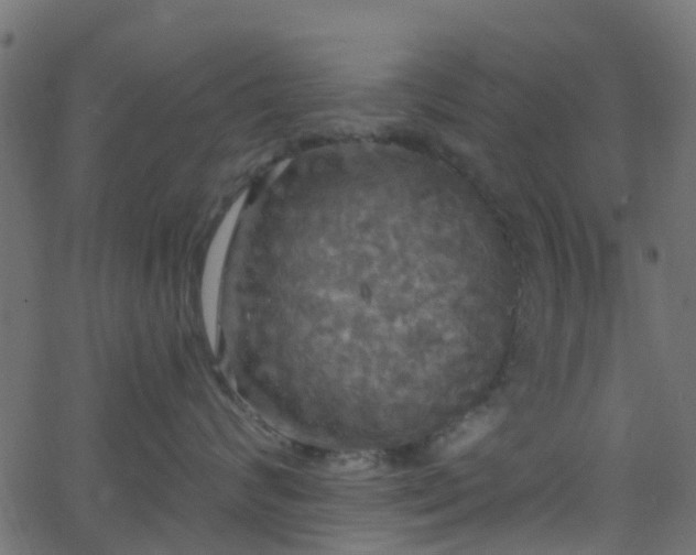 X0000068770624200605011028