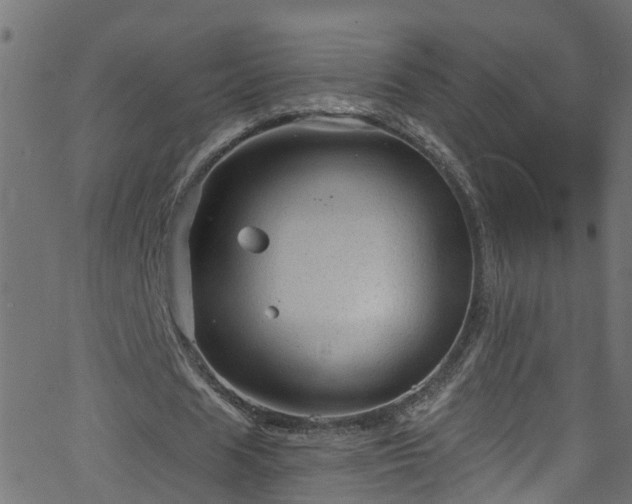 X0000068770625200605011028