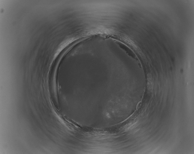 X0000068770626200605011028