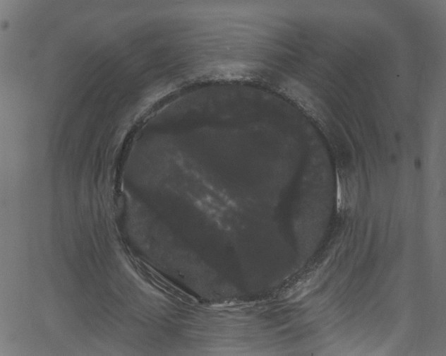 X0000068770627200605011028