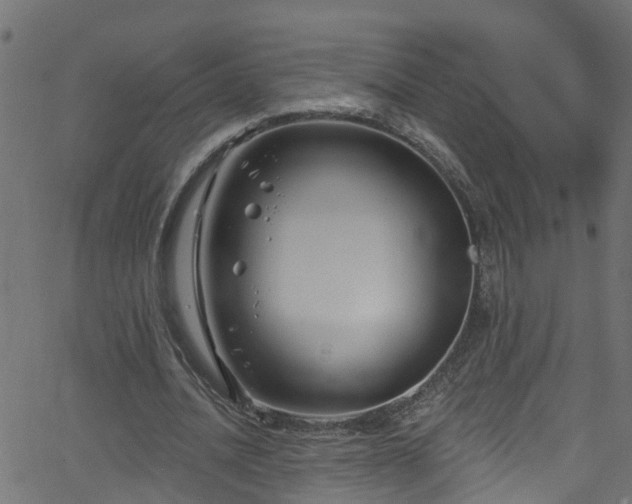 X0000068770628200605011028