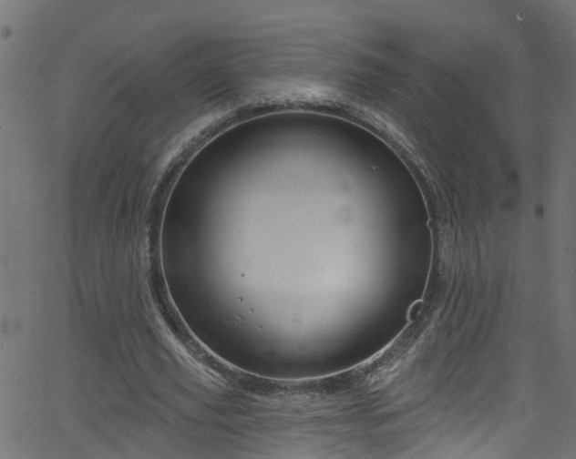 X0000068770629200605011028