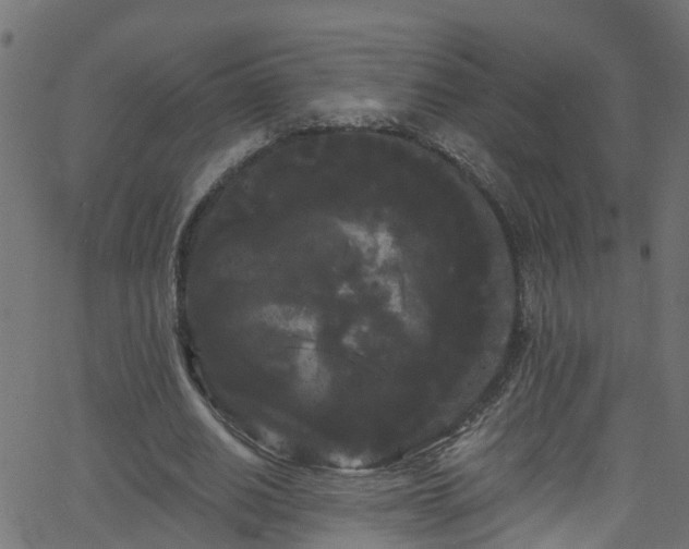 X0000068770630200605011028