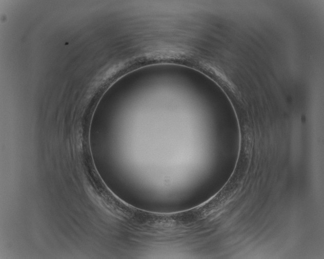 X0000068770631200605011028