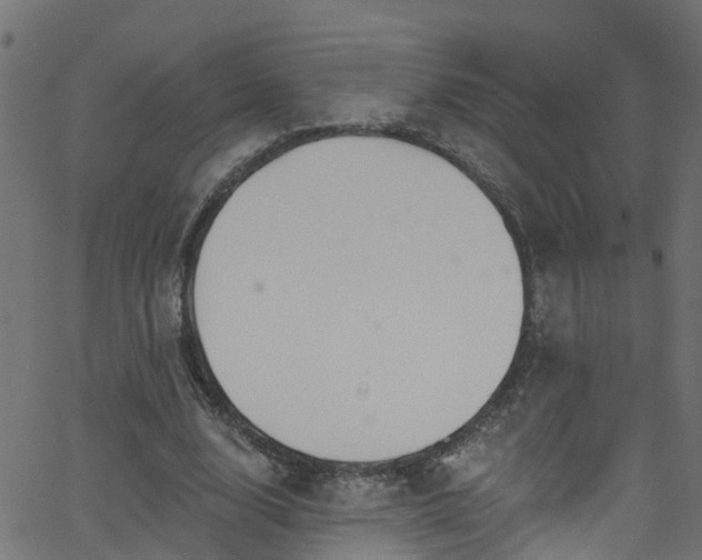 X0000068770632200605011028