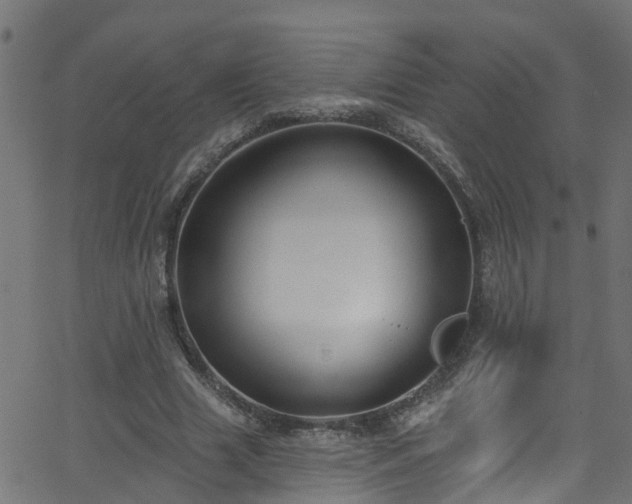 X0000068770633200605011028