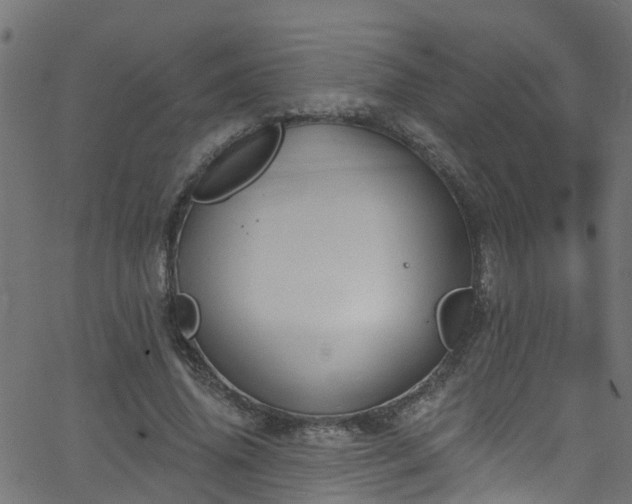 X0000068770636200605011028