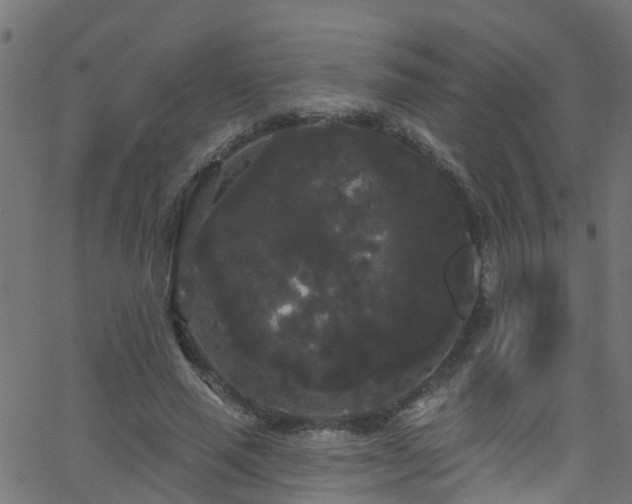 X0000068770637200605011028