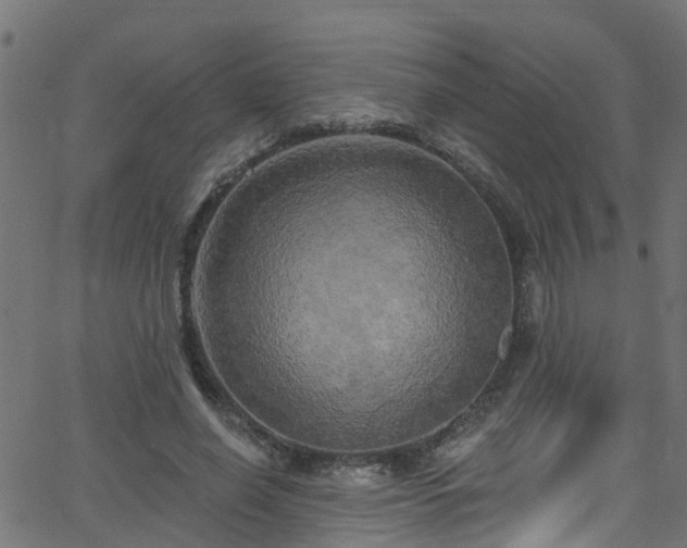 X0000068770638200605011028