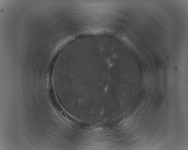 X0000068770640200605011028