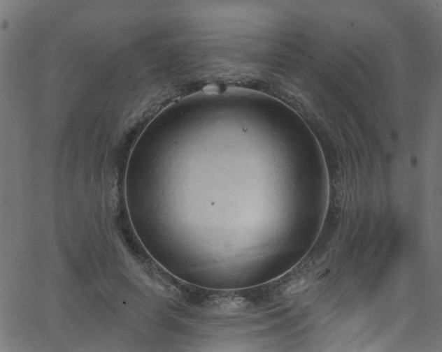 X0000068770642200605011028