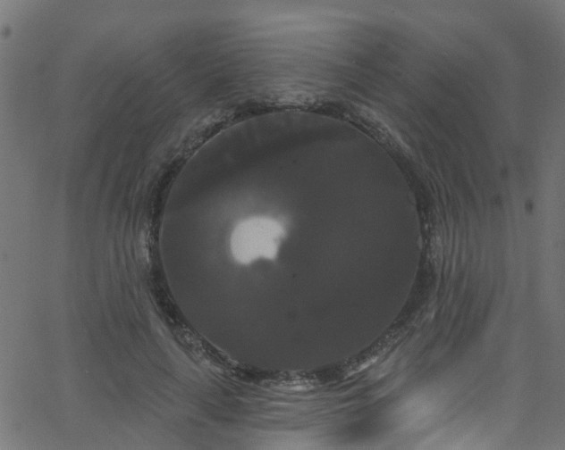 X0000068770643200605011028