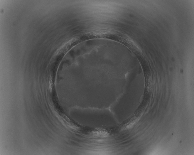 X0000068770644200605011028