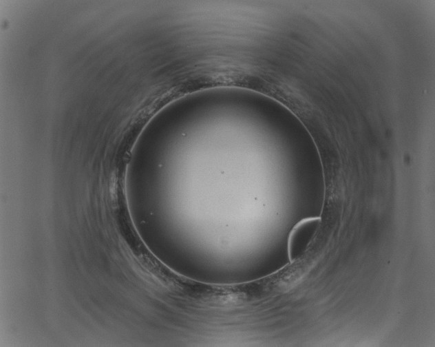 X0000068770646200605011028