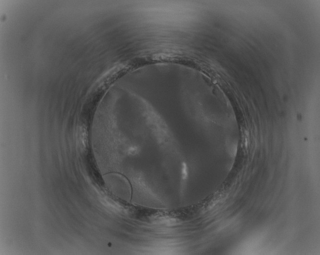 X0000068770648200605011028