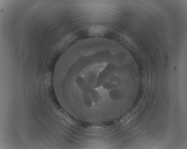 X0000068770649200605011028